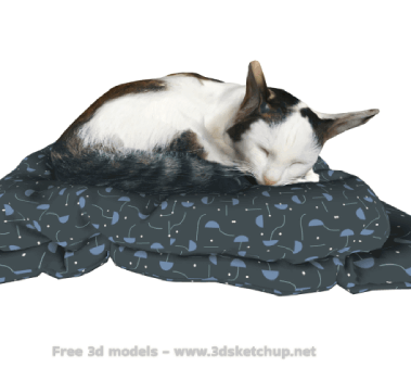 Sleeping cat 095403238